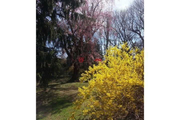 美国宾夕法尼亚州bala cynwyd3卧的房产