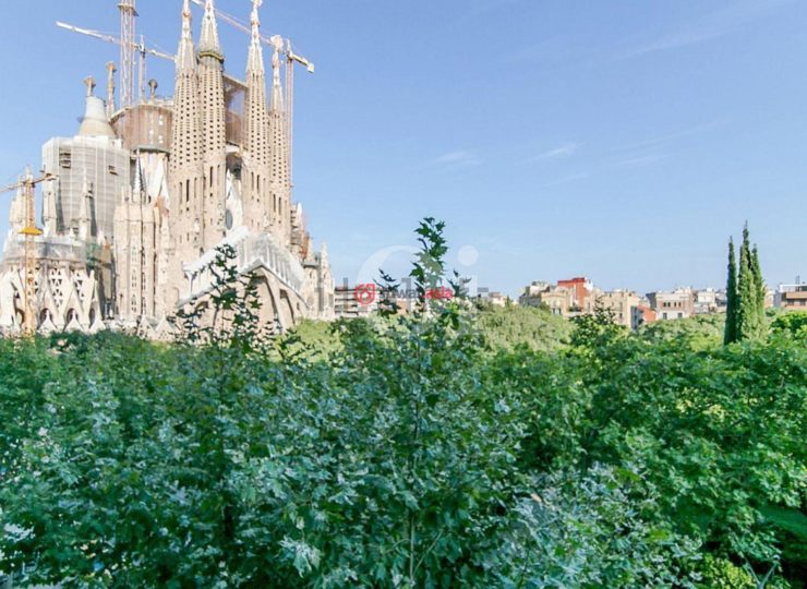 西班牙巴塞罗那的房产