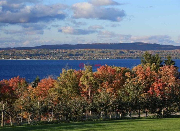 美国密歇根州佩托斯基的房产